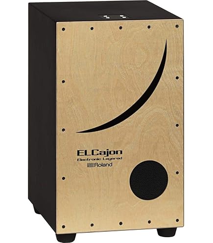 Amazon | Roland ローランド エレクトロニックレイヤードカホン EC-10